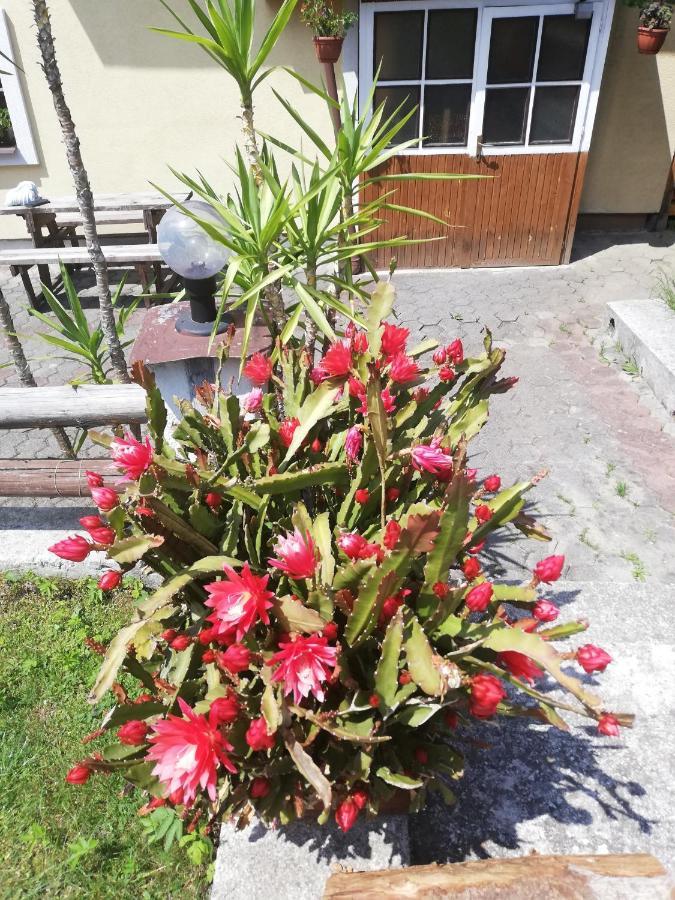 Liptovska Luzna Penzion Baltazar מראה חיצוני תמונה